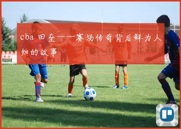 cba 田垒——赛场传奇背后鲜为人知的故事